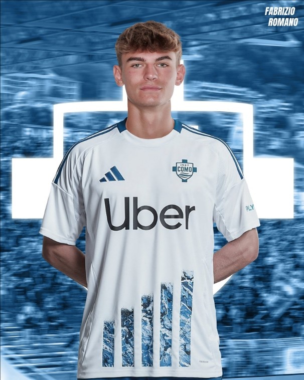 的引入计划 的引入计划