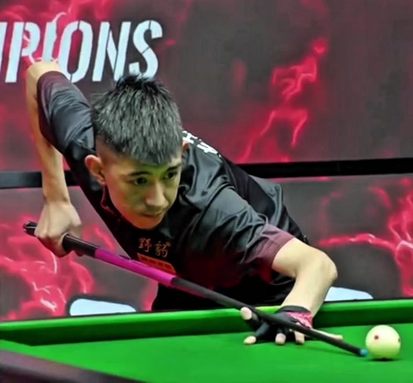 应性和球迷 应性和球迷